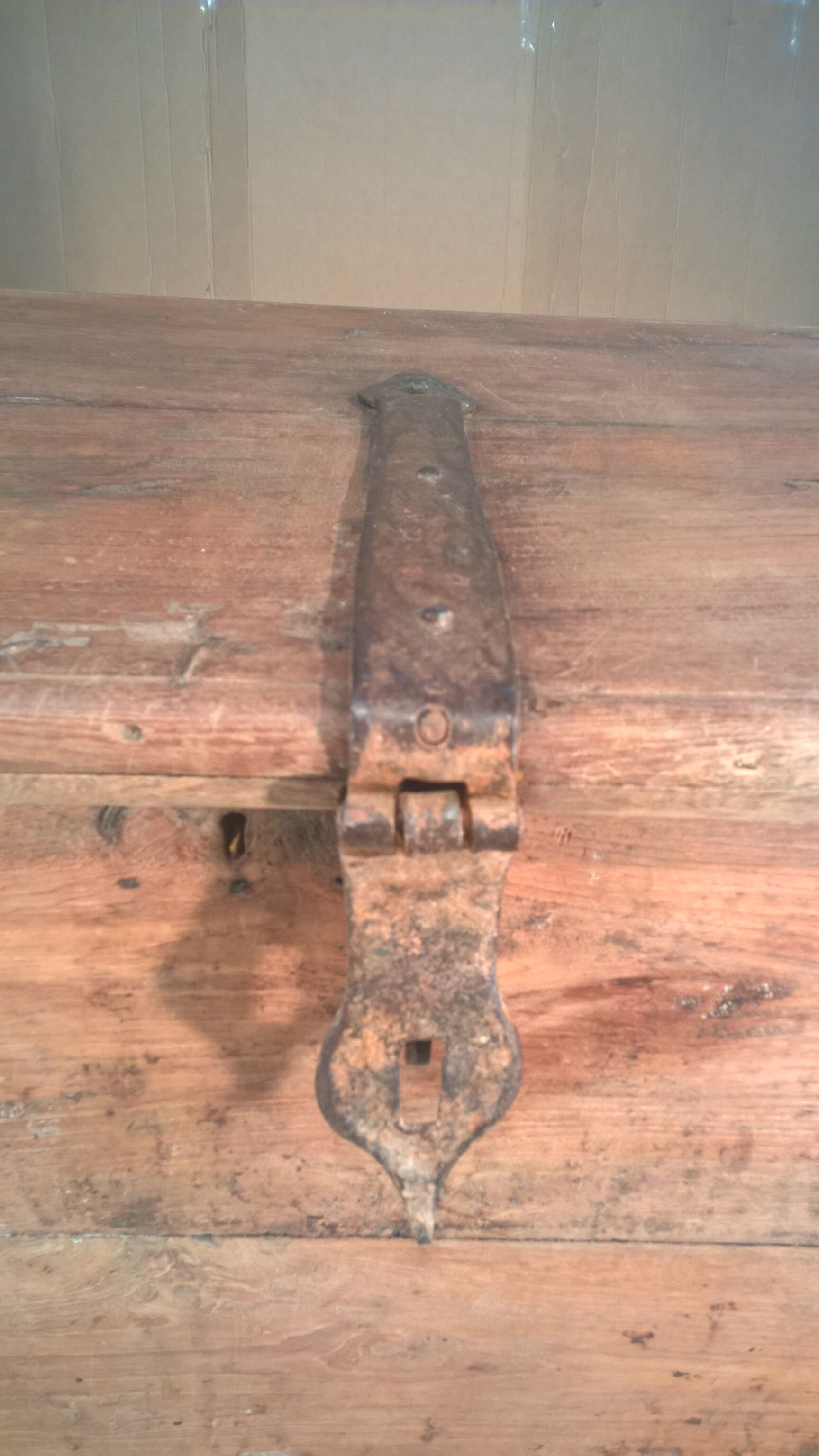 Trunk goannais ink310