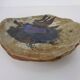 Danish stoneware bowl by Conny Walther, 1960s