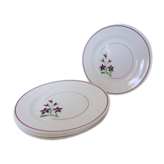 Set of 4 vintage porcelain dinner plates from the Salins factory