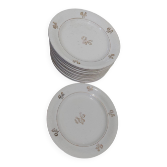 12 Villeroy and Boch plates