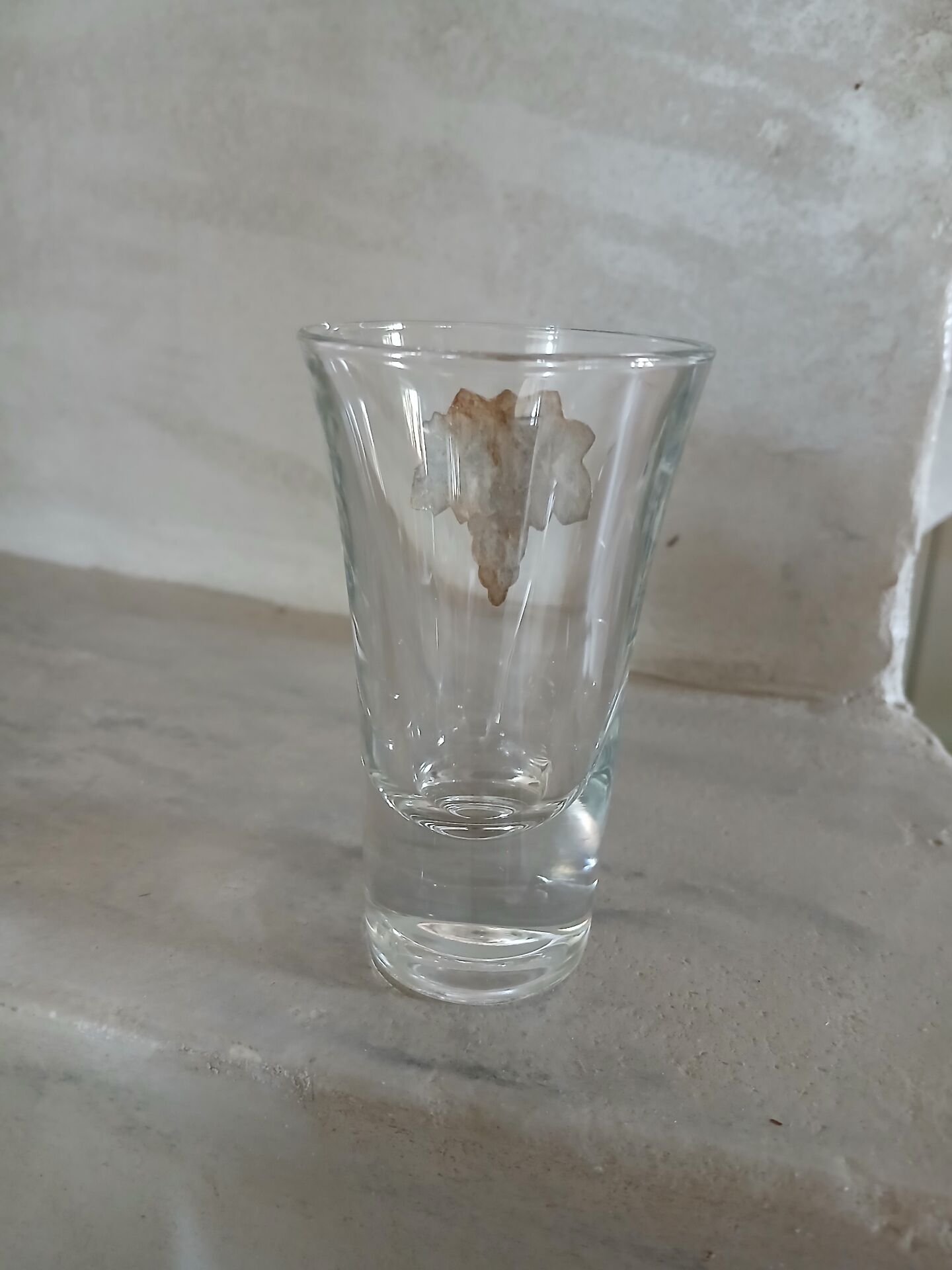 6 small antique liqueur glasses