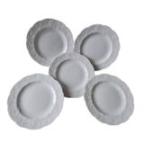 set of 5 Limoges porcelain dessert plates with wild ivy