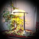 White opaline banker's lamp