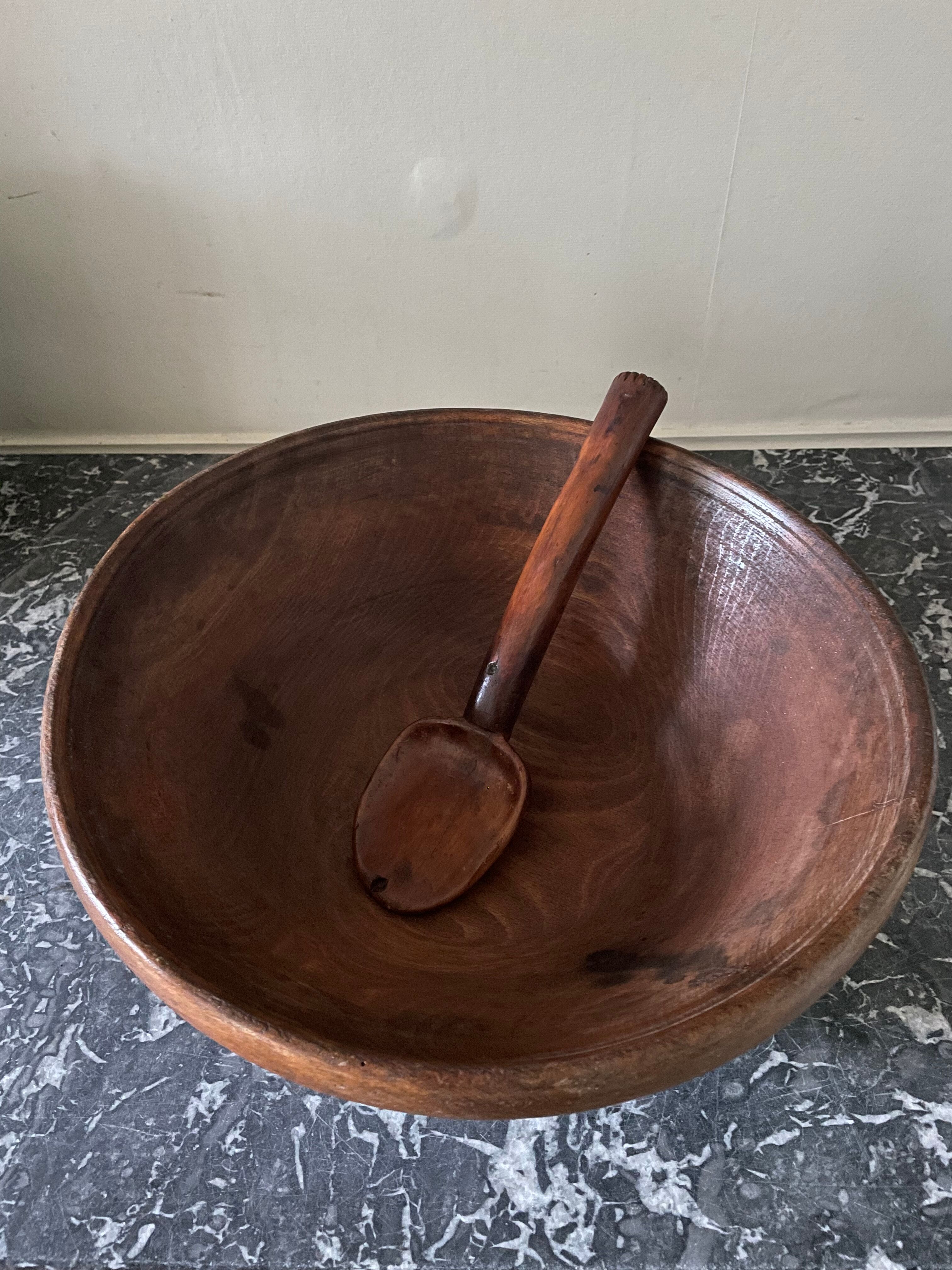 Raw wooden salad bowl