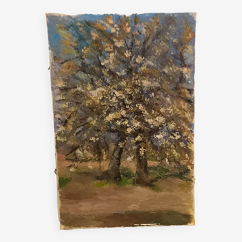 Old painting, oil on canvas, representing a cherry tree in bloom in the countryside