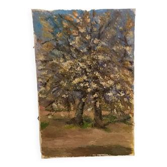 Tableau ancien,huile sur toile, représentant un cerisier en fleurs à la campagne