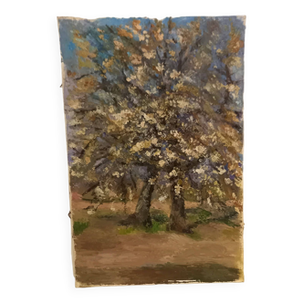Old painting, oil on canvas, representing a cherry tree in bloom in the countryside