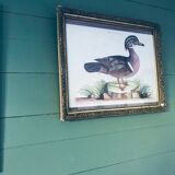 Ancient framed duck