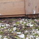 Old molded separation door