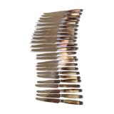 Coffret de 24 couteaux en corne