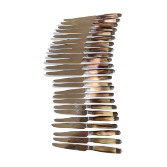 Box of 24 horn knives
