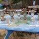 Lot of 6 Medici Cast Iron Vases from Charleville - Mézières 1900