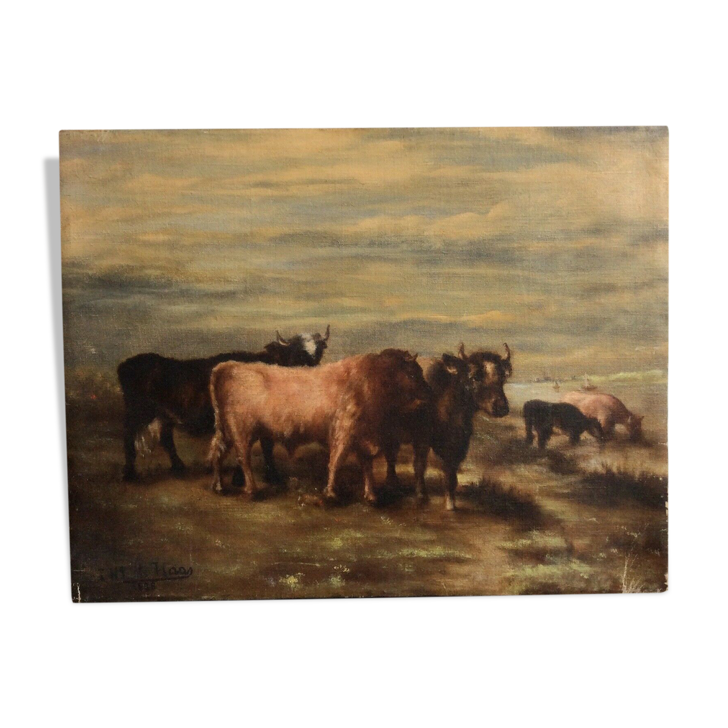 Table Oil on Canvas Cows and Bull grazing Signed FROM HAAS 1886