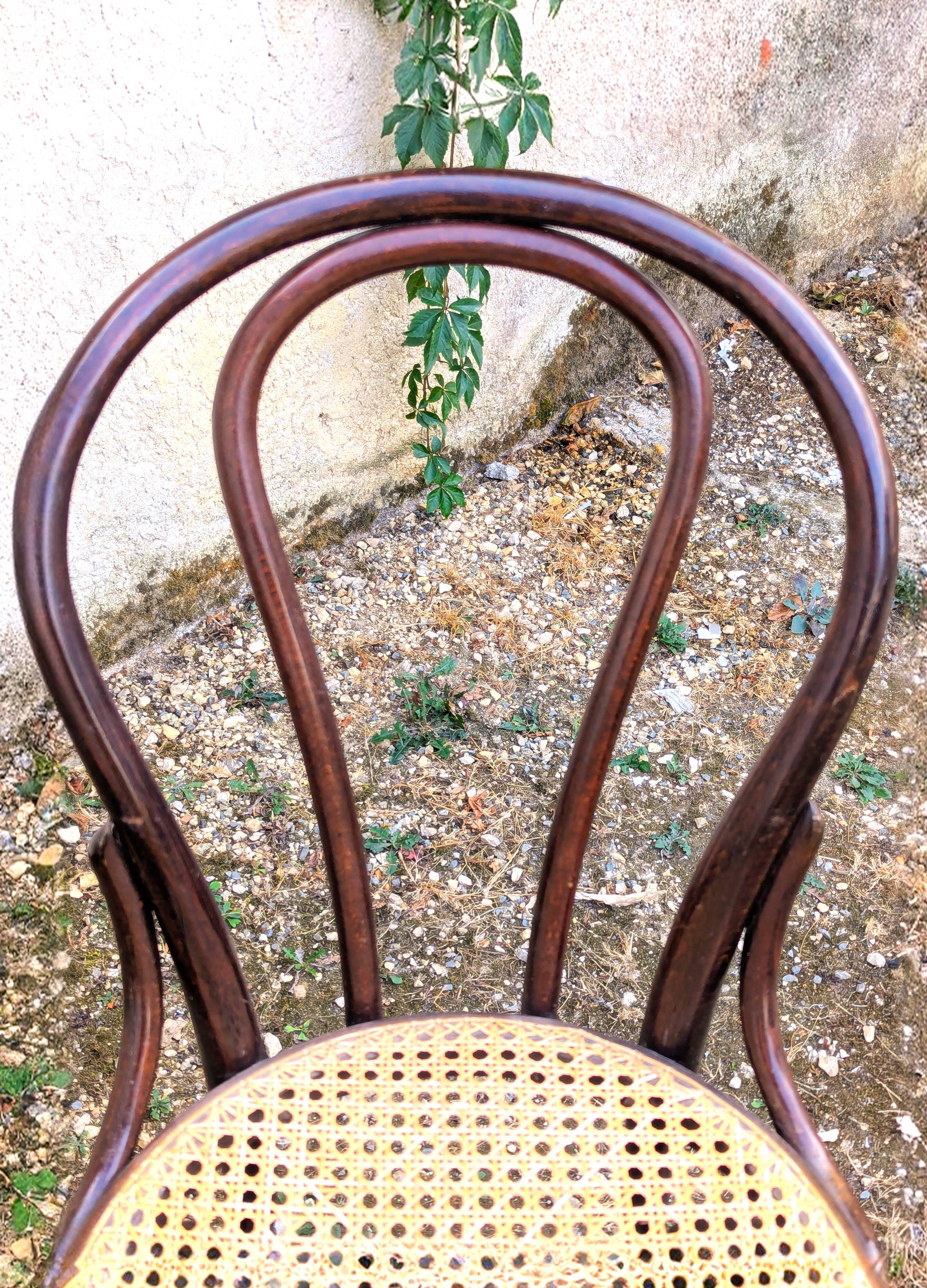 Two Thonet chairs Romania model Charlie Chaplin from the 1950s/60s.