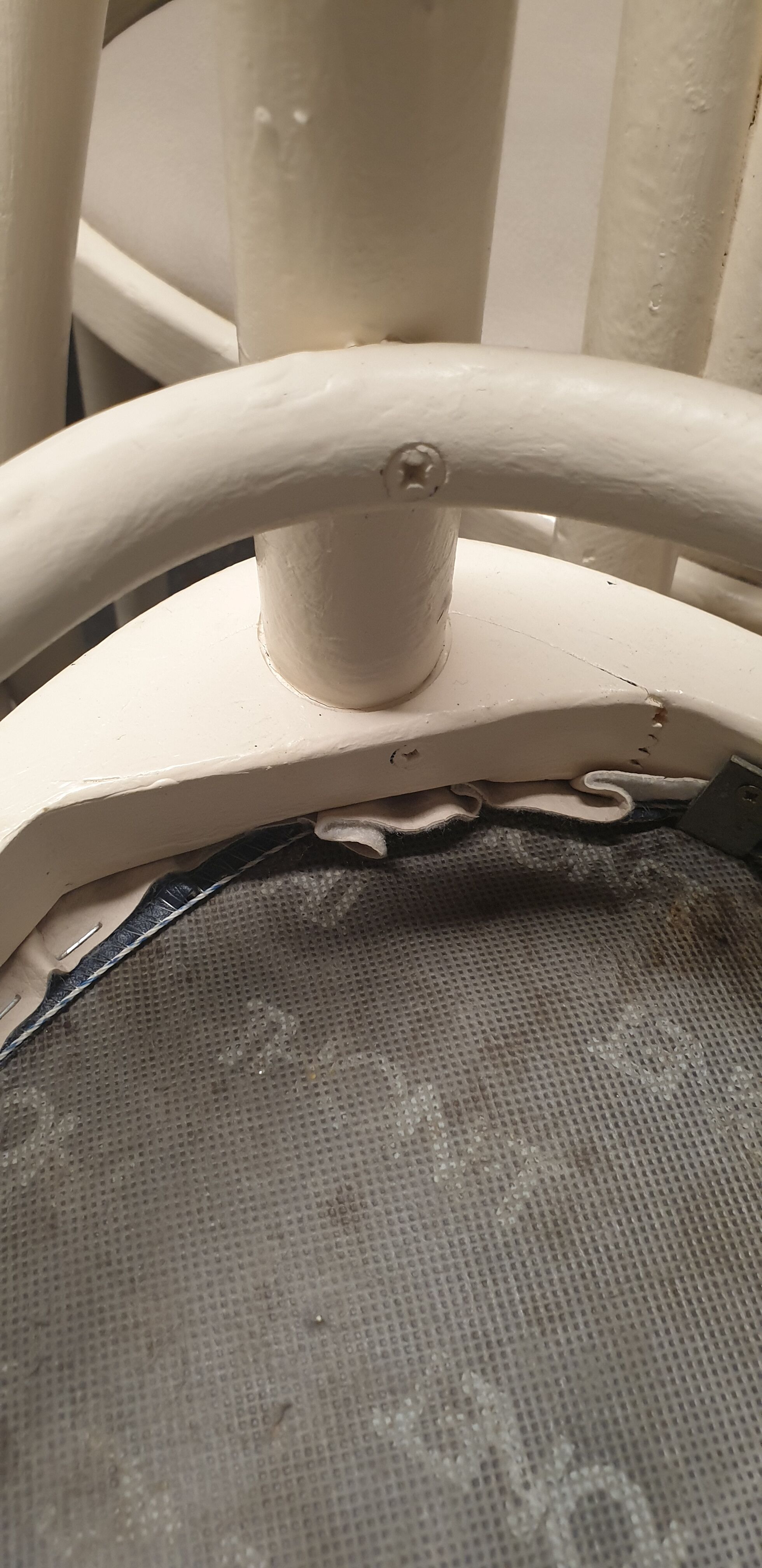 8 Chairs Michael Thonet