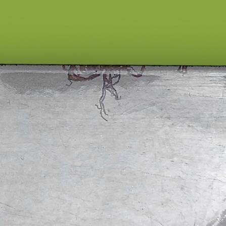 Vintage magazine rack in painted metal and wooden balls - minimalist design