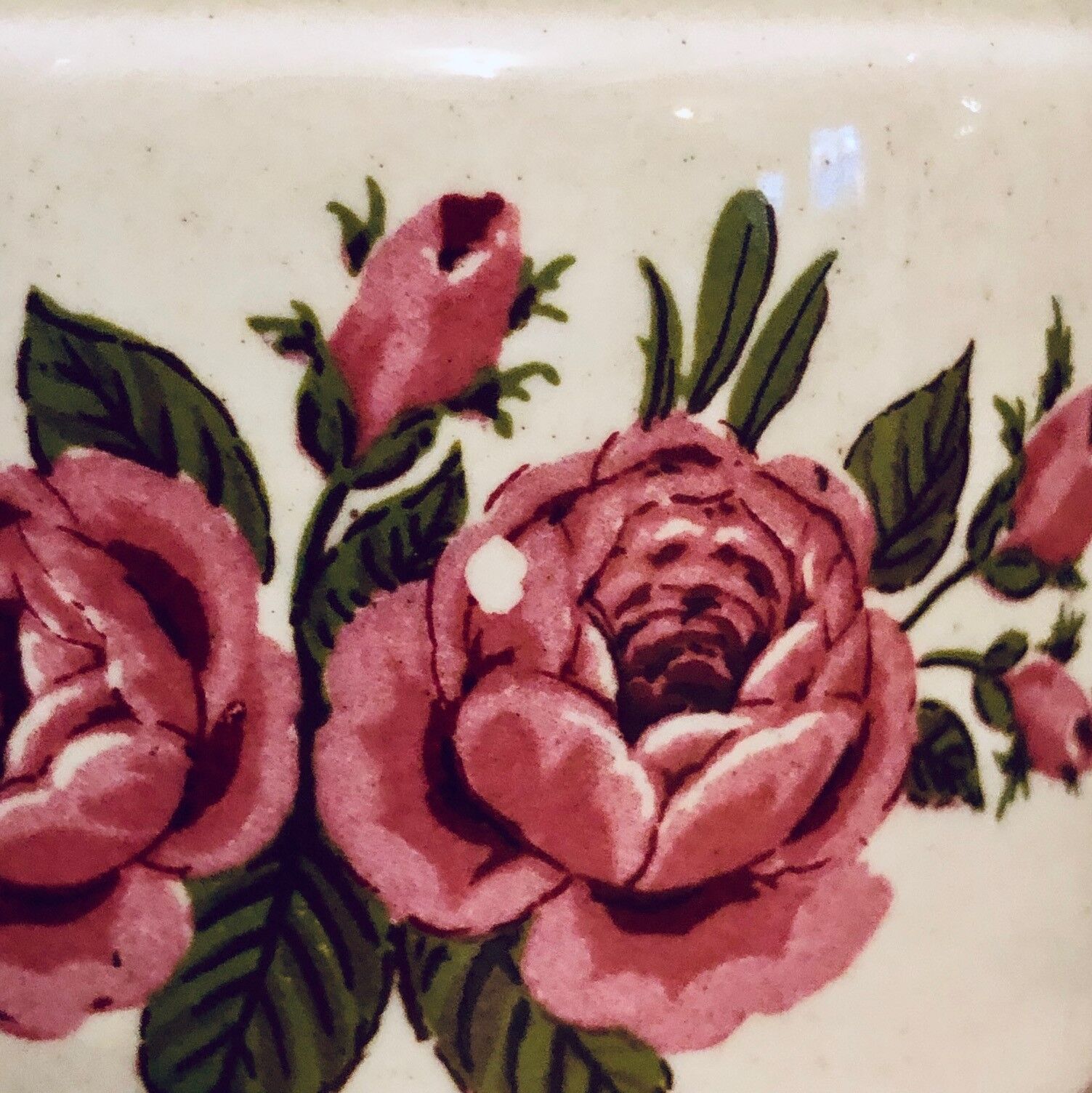 7 small pots winterling bavaria