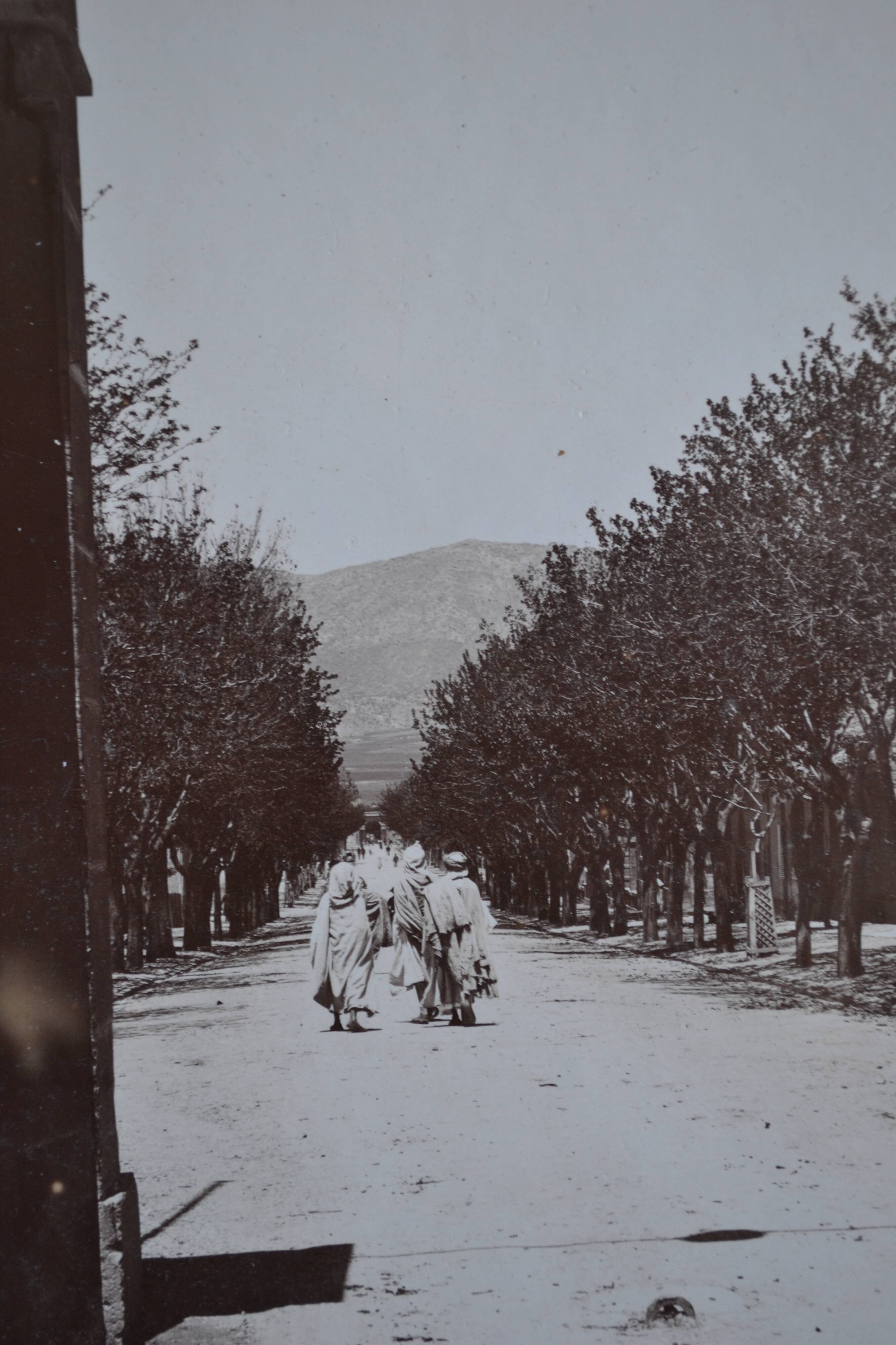 Old albumen print photo Maghreb? Algeria?