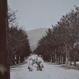 Old albumen print photo Maghreb? Algeria?