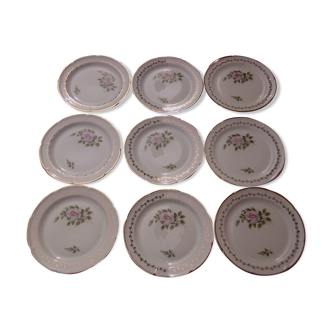9 dessert plates in porcelain paste and enamels of Limoges diam 17,5 cm