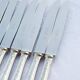 Set of 11 dessert or entremets knives Villeroy by Christofle