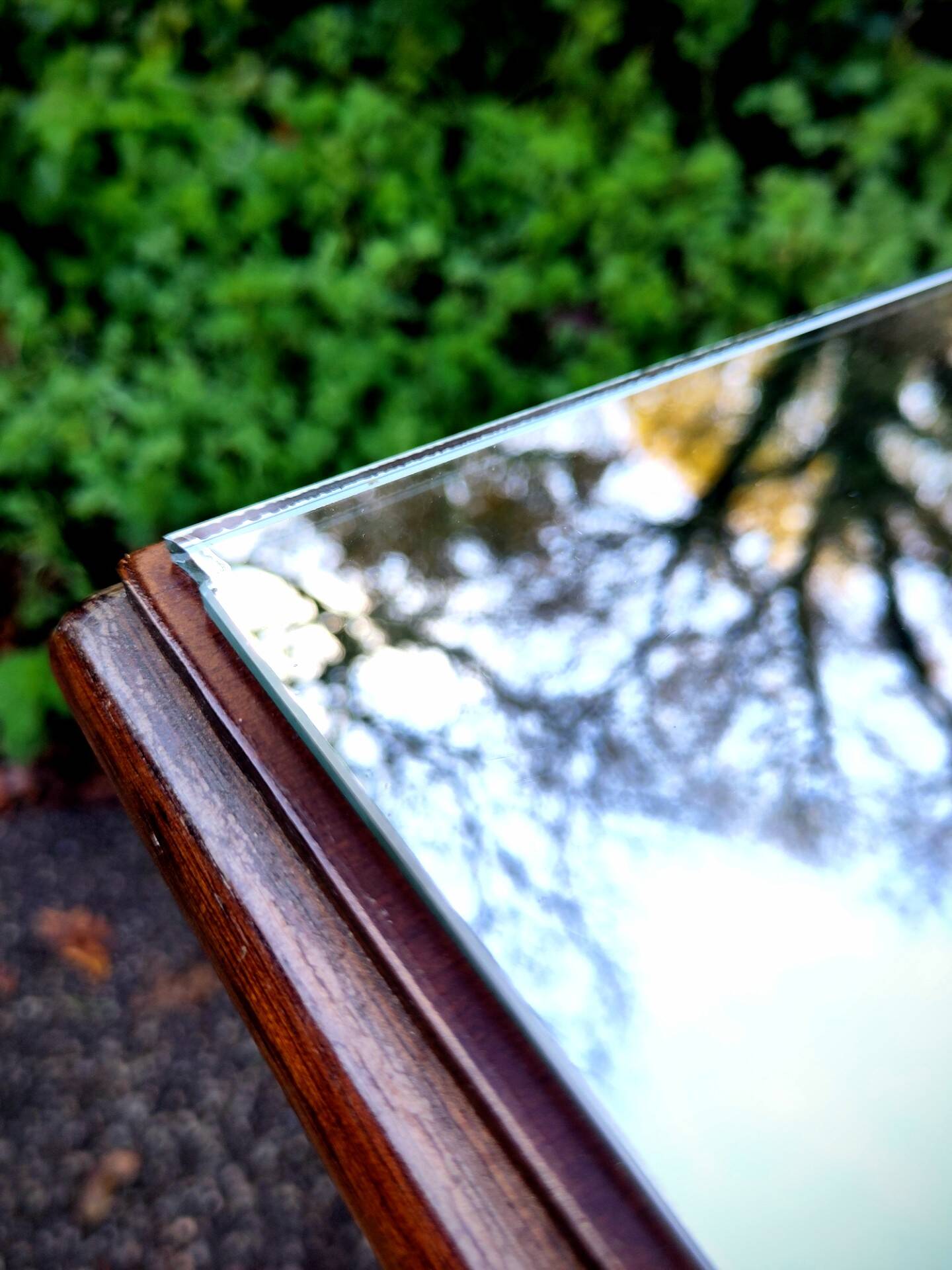 Showcase from the early 20th century.