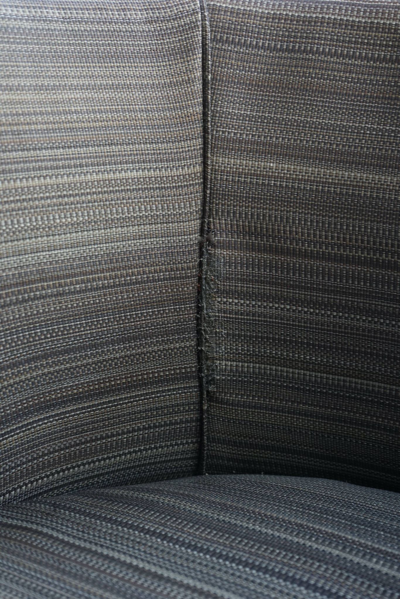 Chaises tubulaires modernistes d'Artifort, années 1930