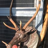 Hunting Trophy