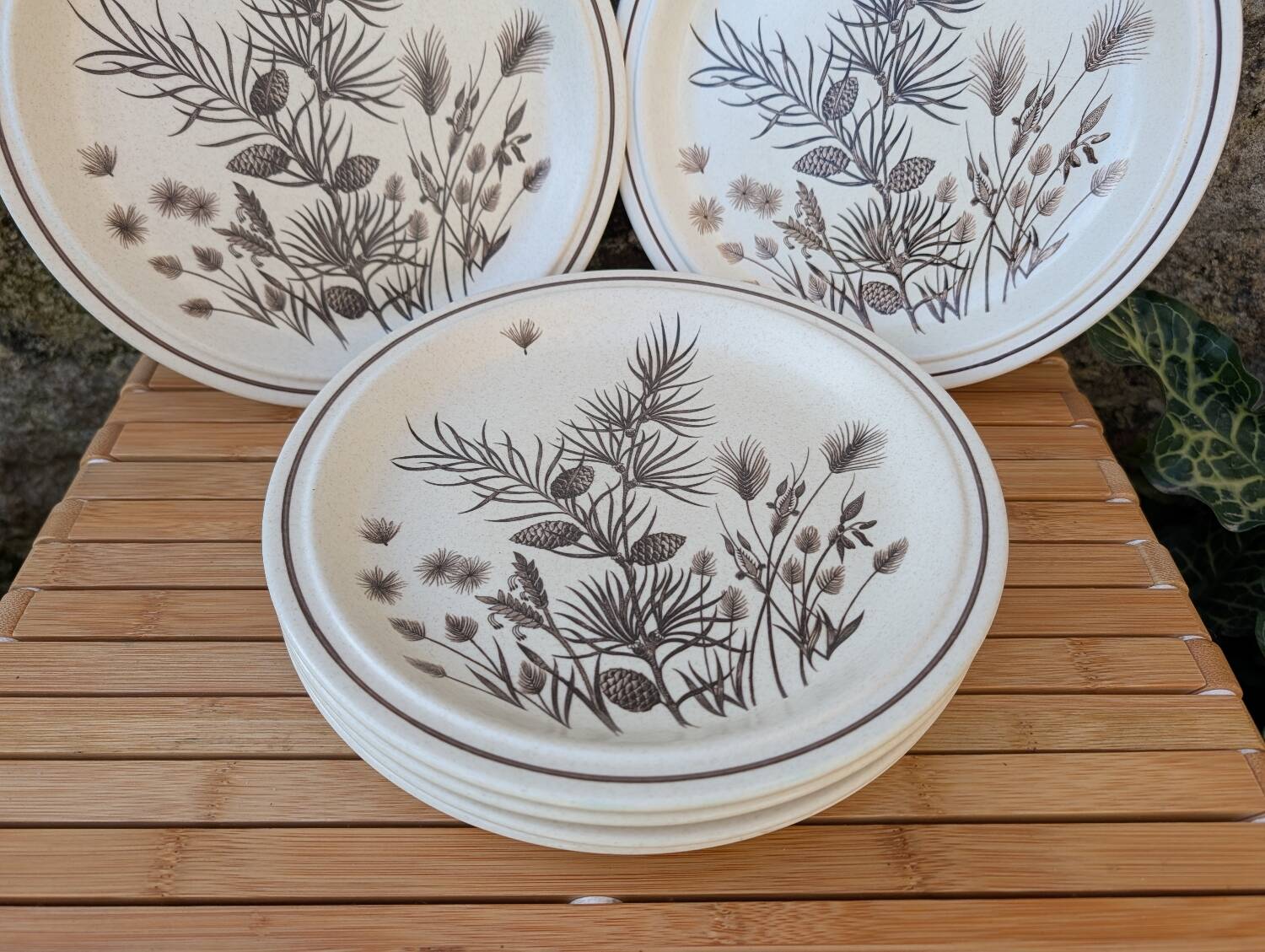 Assiettes Pinewood Grindley Angleterre années 70