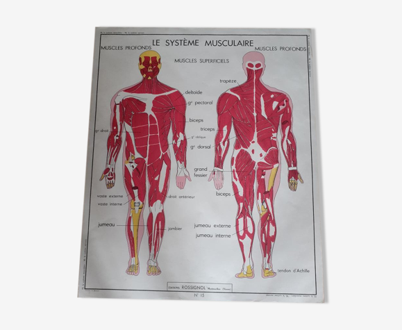 Carte scolaire seule
