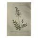Gravure botanique fleur Française litho planche naturaliste 19eme