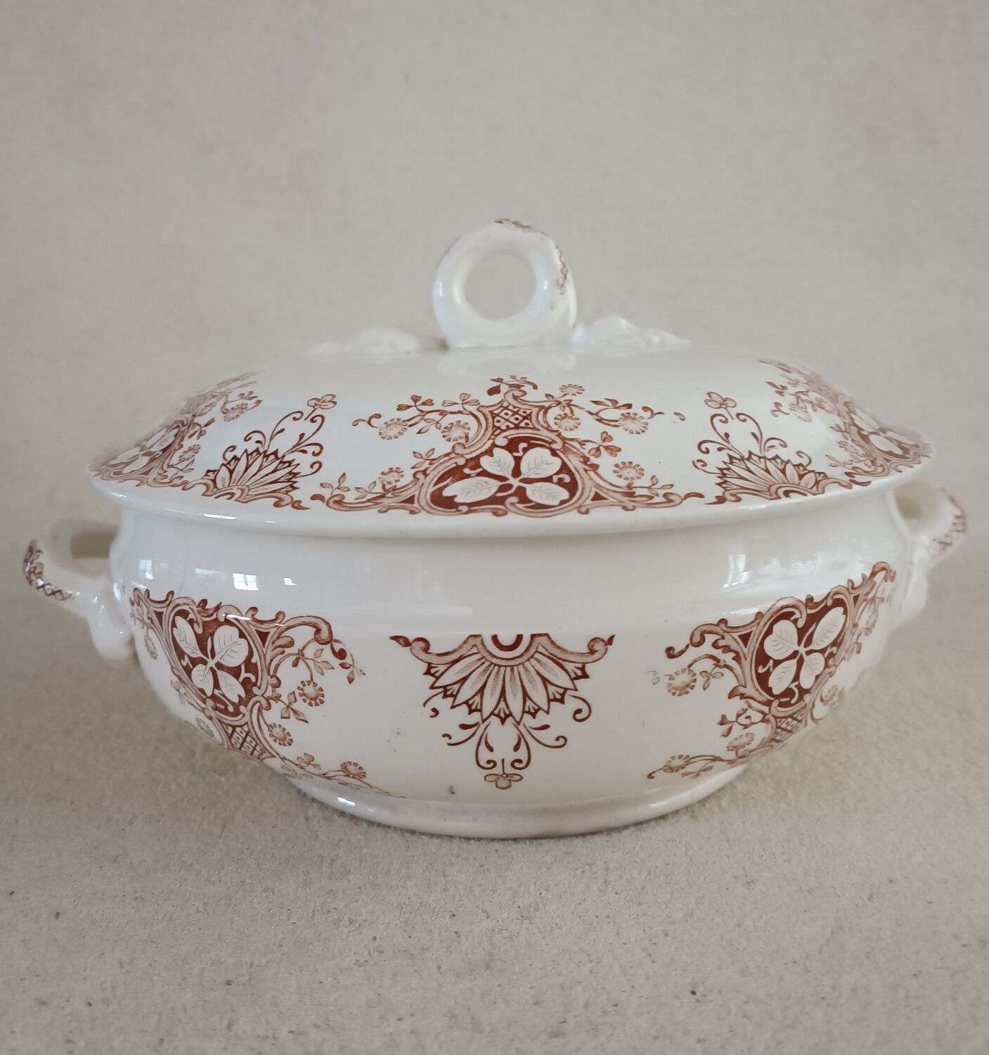 6 plates and vegetable iron earth Lunéville