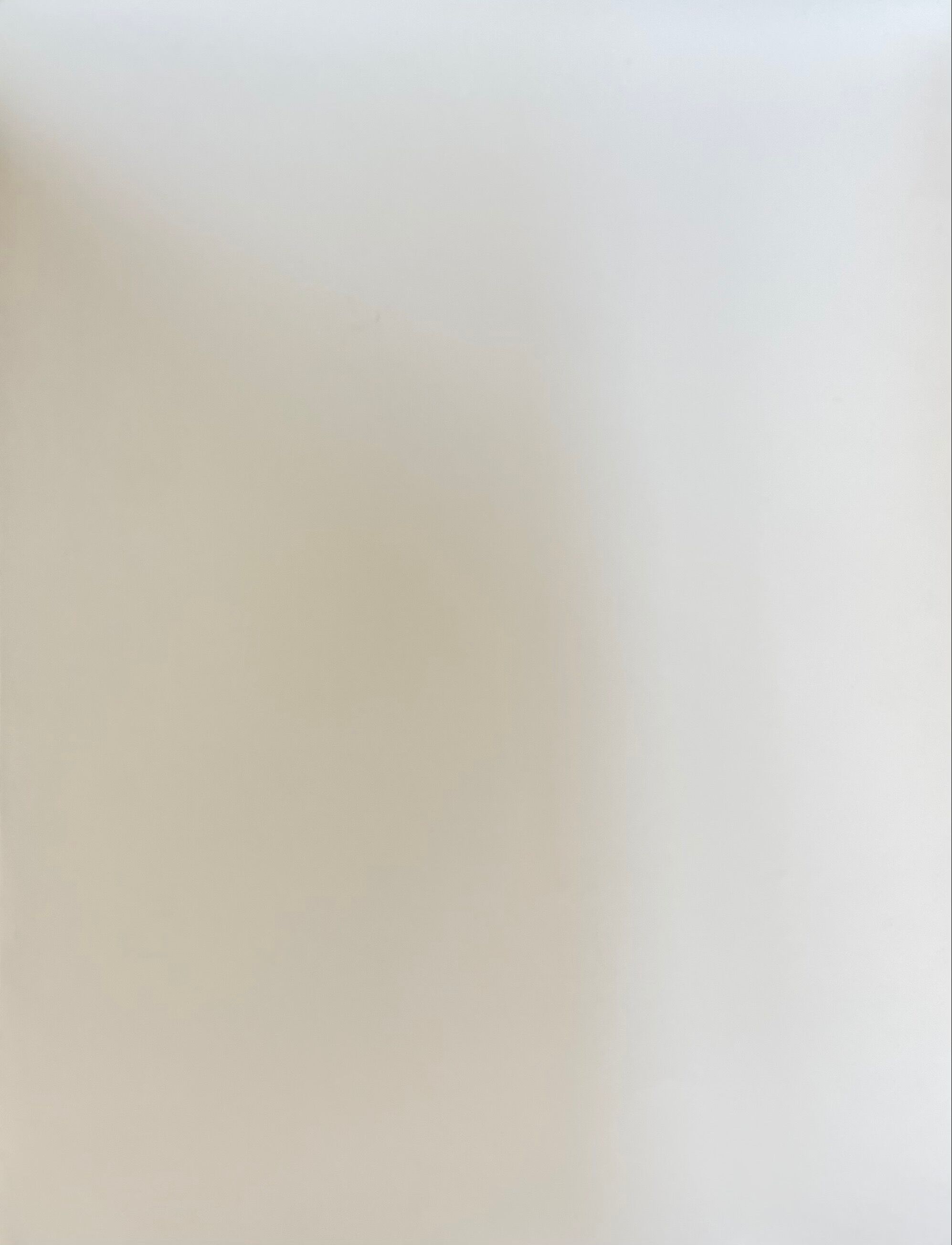 Photograph black and white silver print circa 1970 architecture