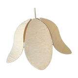 Day abat lotus flower petals