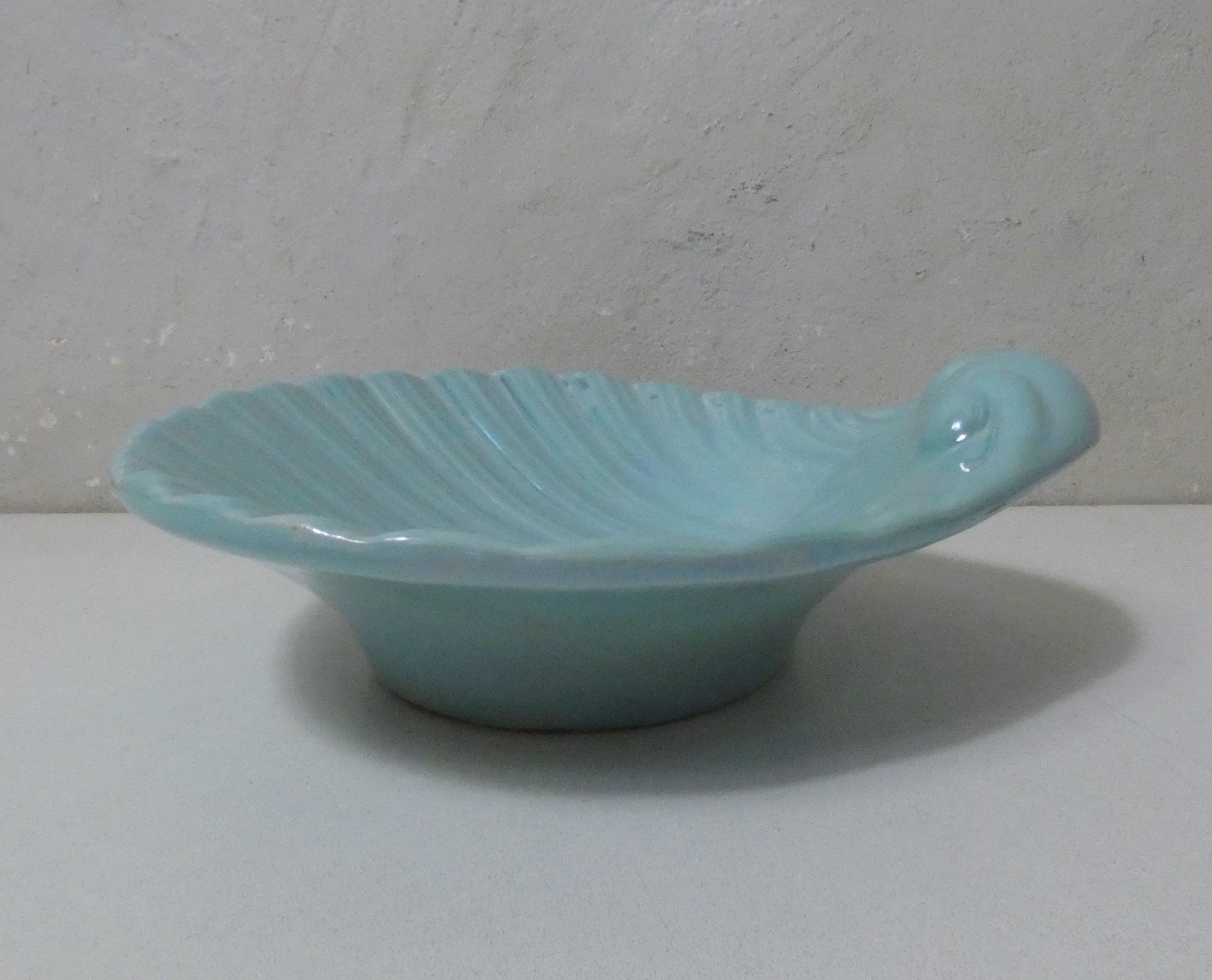 Empty pocket vintage iridescent shell