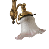 Bronze wall lamp and polished glass tulip