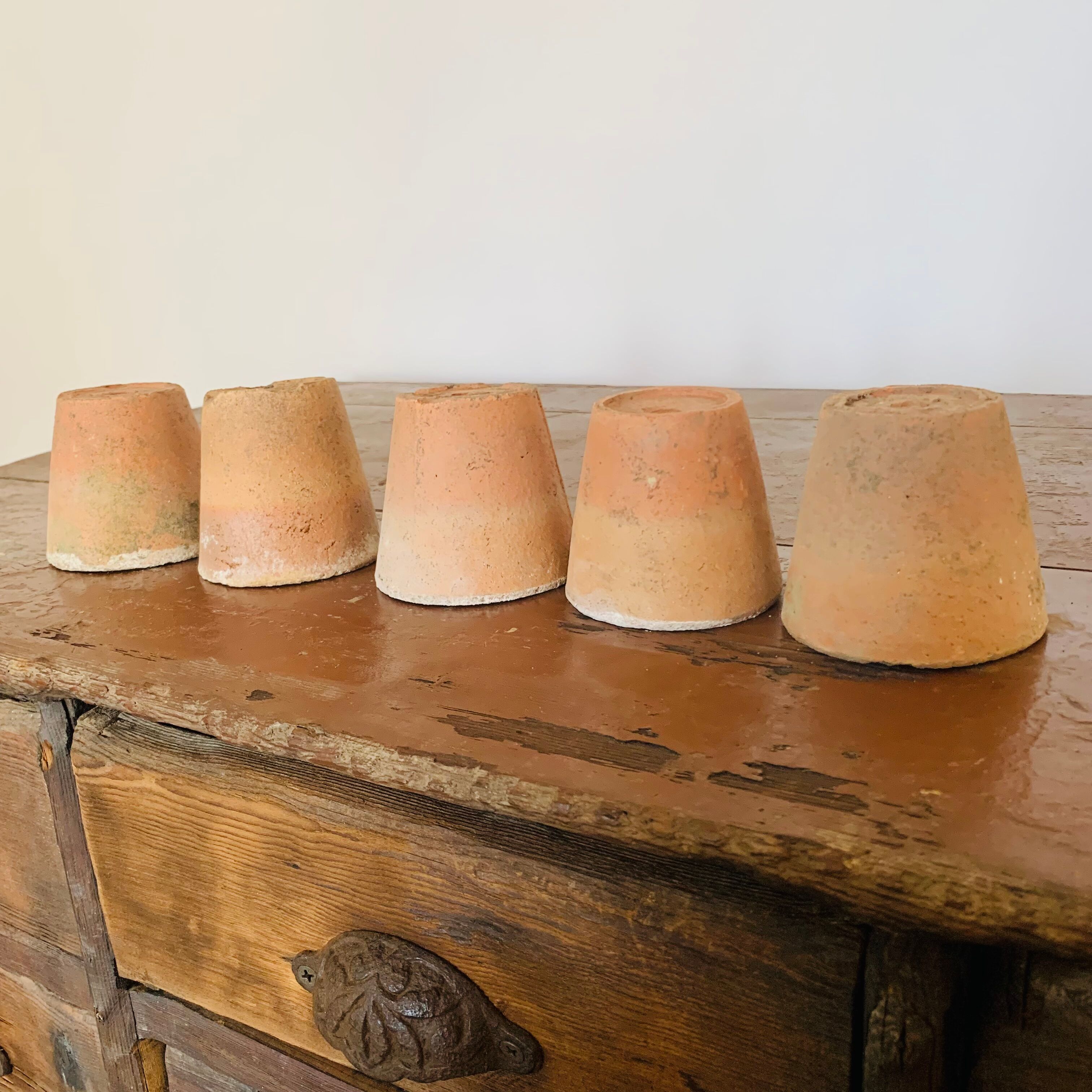 Lot of 5 terracotta pots circa 1930 graineterie