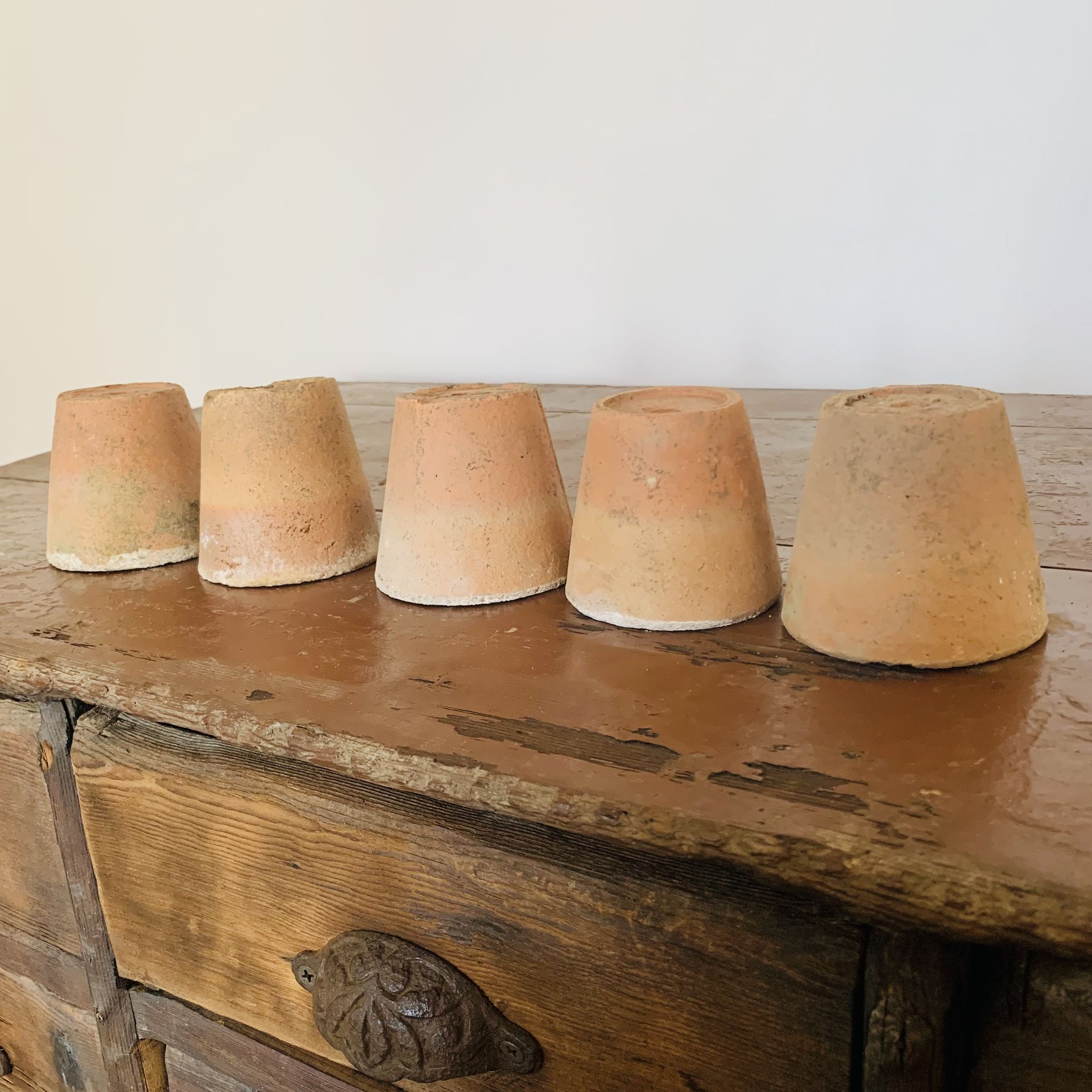 Lot de 5 pots en terre cuite circa 1930 graineterie