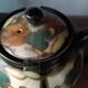 Large milk jug teapot in montoise bergen ceramic, belgium, art deco 1