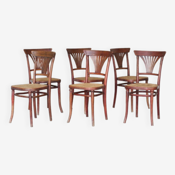 6 chairs n°221 canework Michael Thonet - 1920