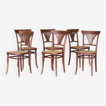 6 chaises n°221 cannage Michael Thonet - 1920