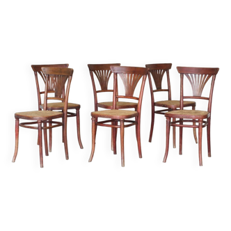 6 chairs n°221 canework Michael Thonet - 1920