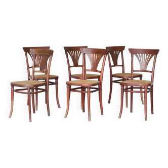 6 chaises n°221 cannage Michael Thonet - 1920