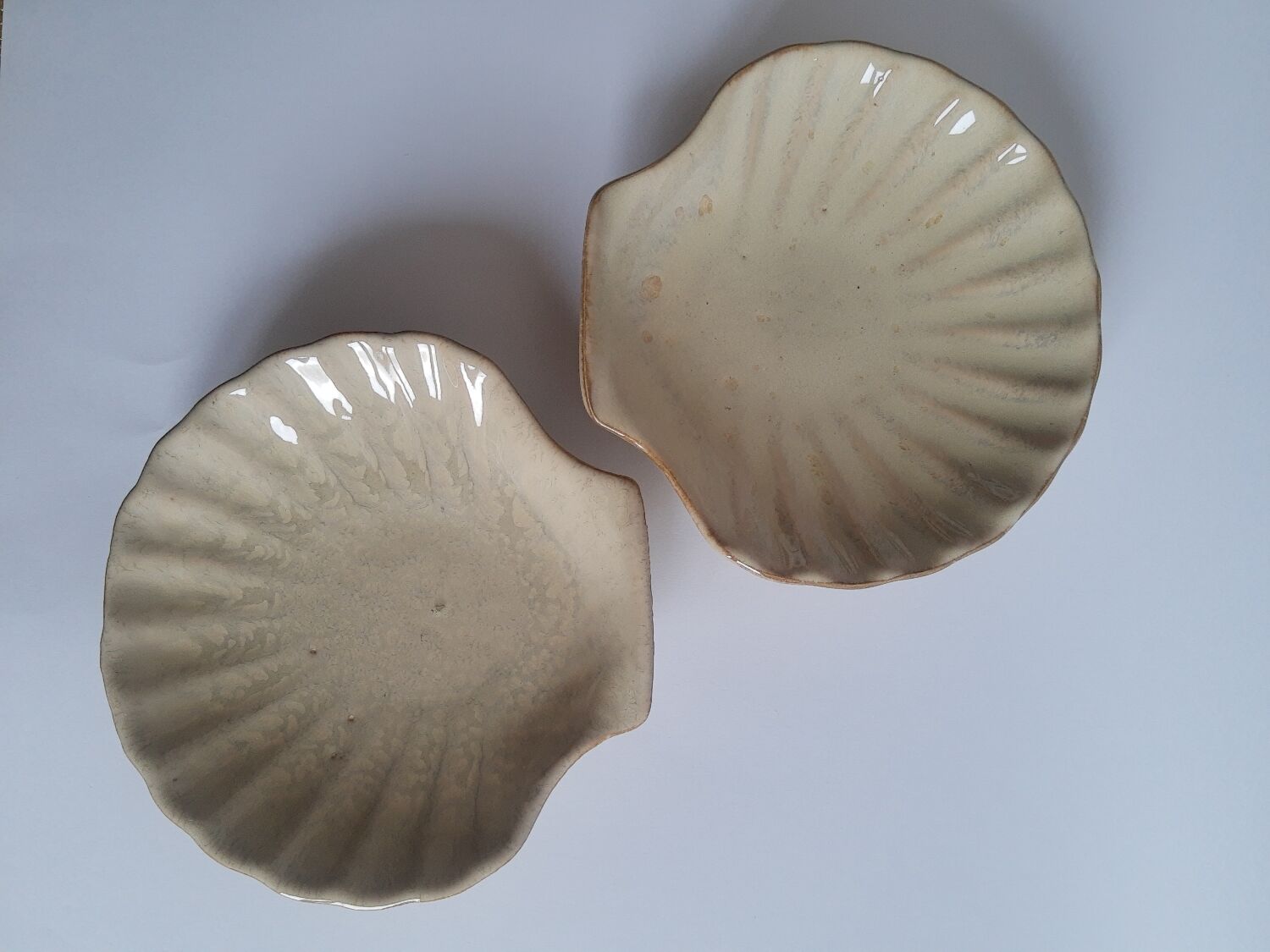 Set of 6 shells, ramekins, vintage ceramic cups