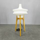 Mid Century Sculptural Floor Lamp with Glass Shade, 1970s