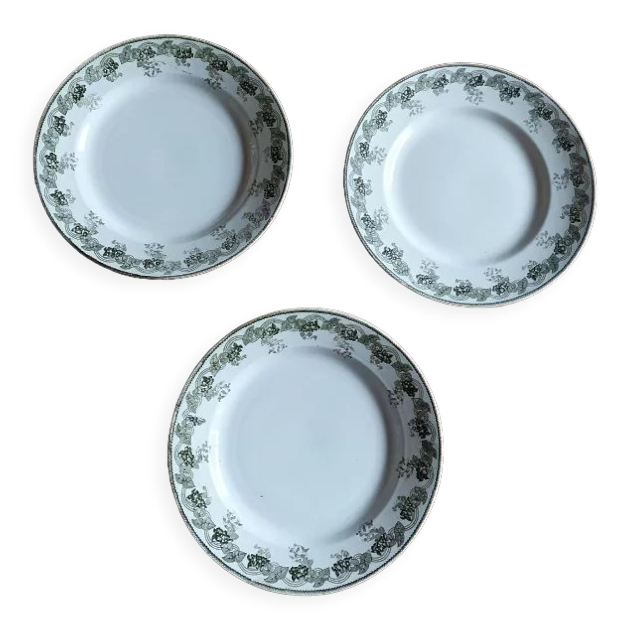 Plate mill wolves Violetta