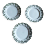 Plate mill wolves Violetta