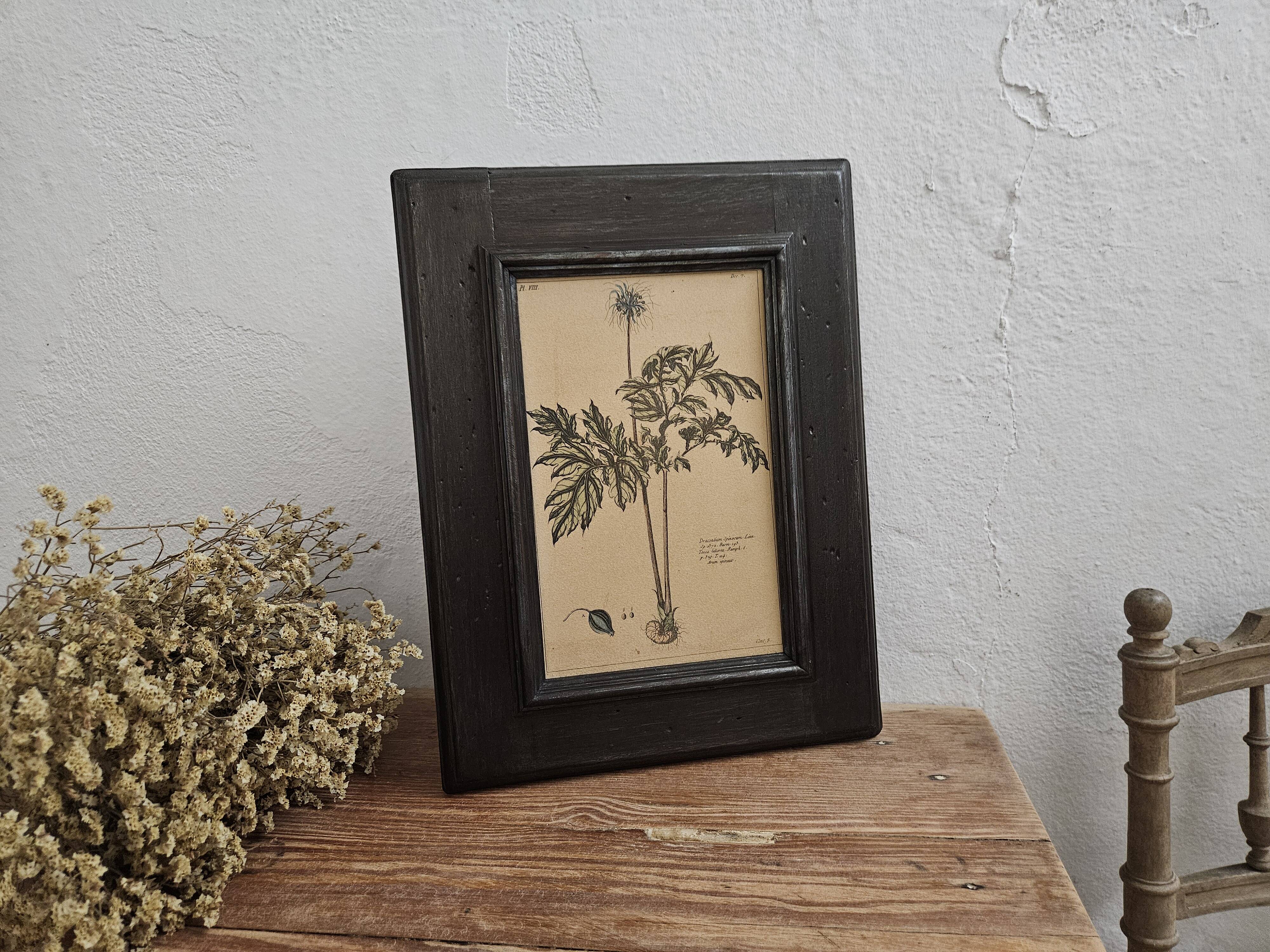 Framed botanical board frame
