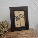 Framed botanical board frame