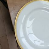 Haviland Limoges porcelain tableware
